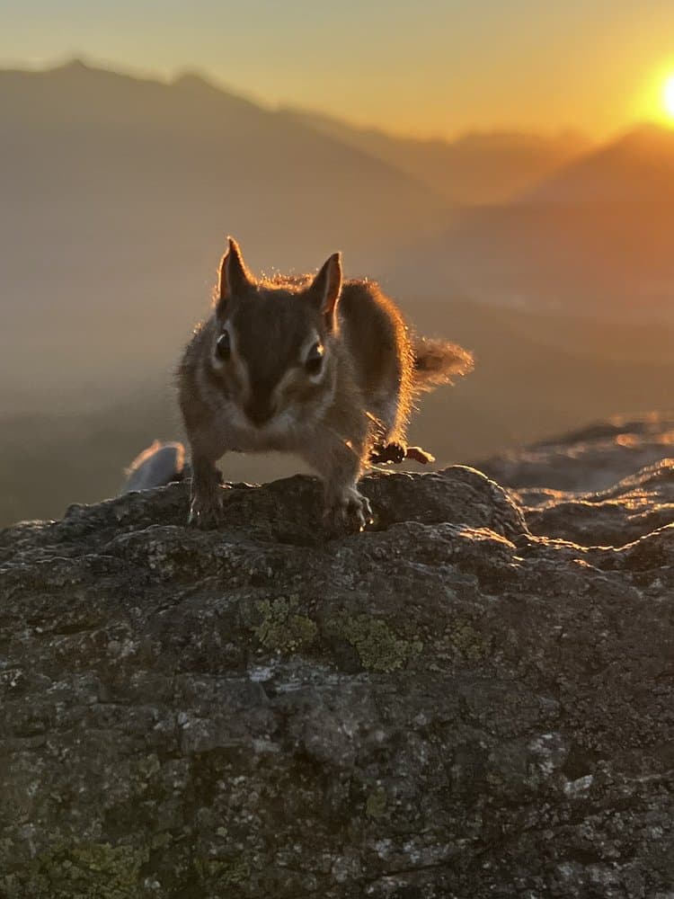 Rattlesnake Mountain