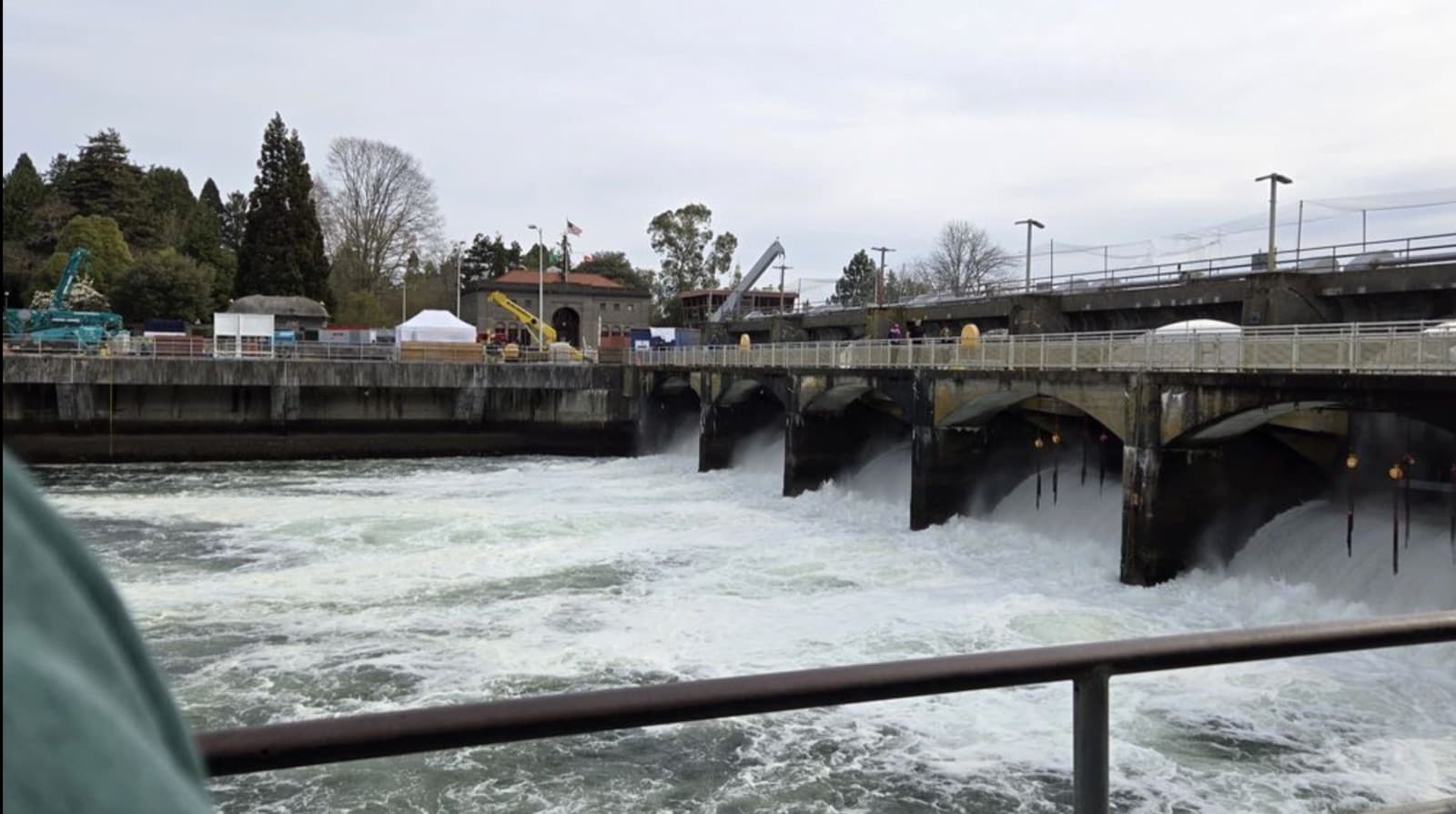 The Ballard Locks - photo 1