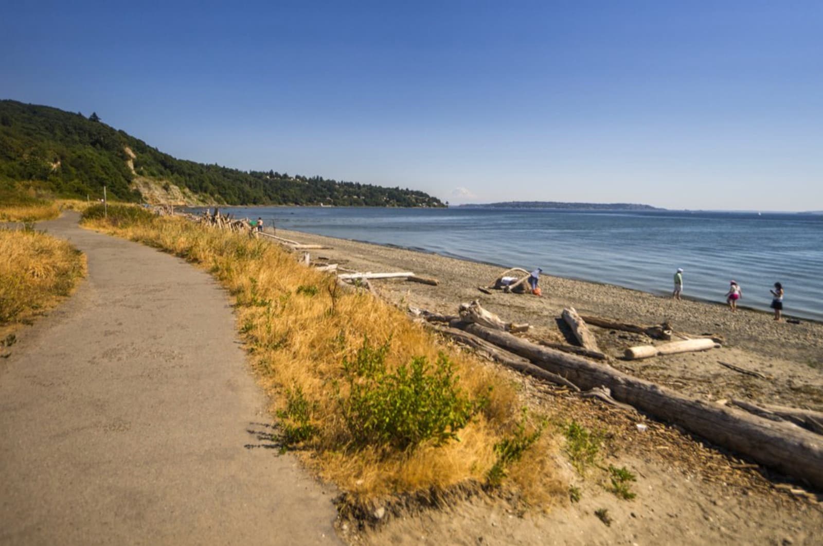 Discovery Park - photo 3