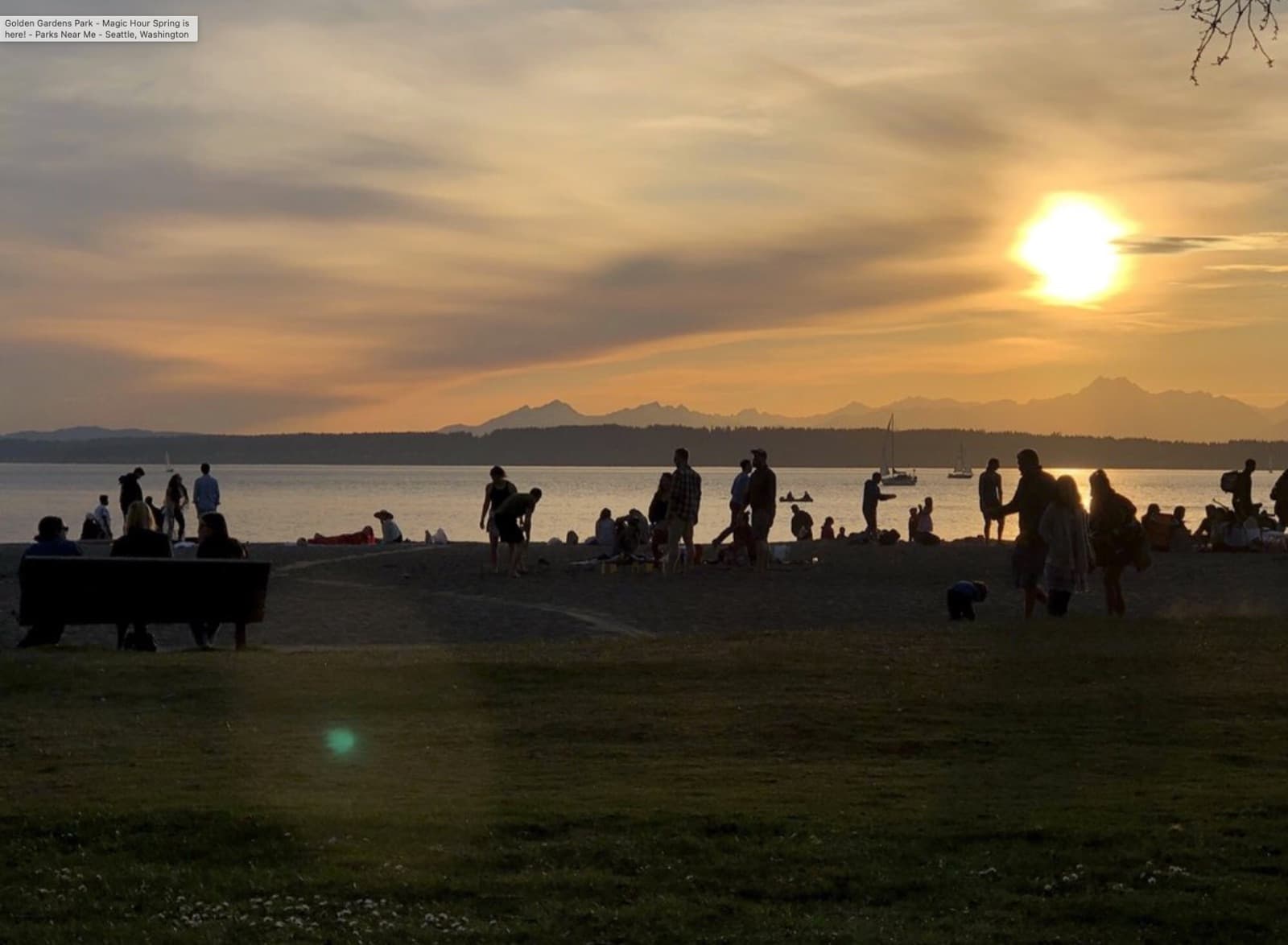 Golden Gardens - photo 1