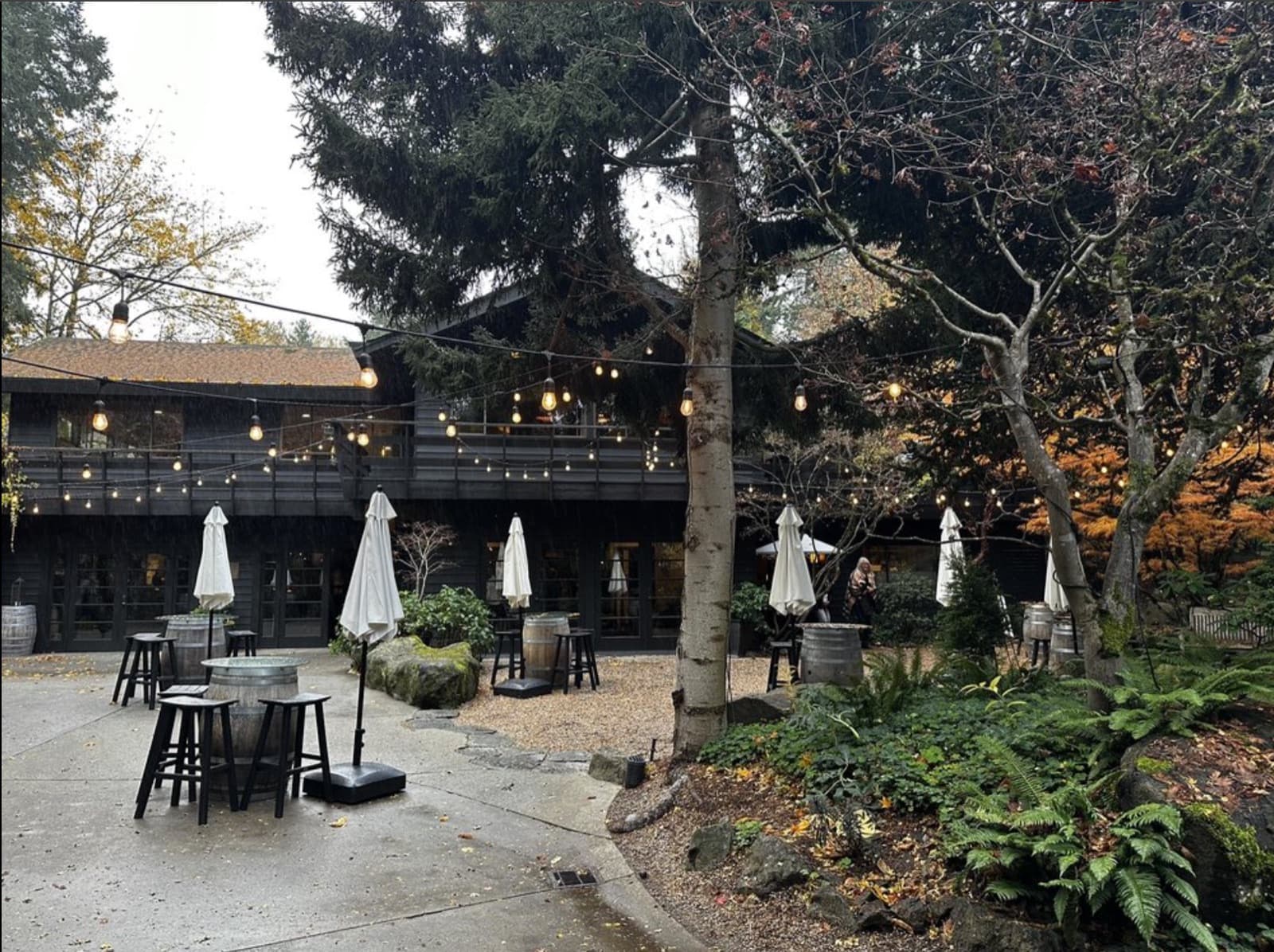 JM Cellars - photo 1